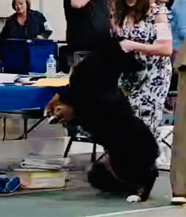 Screenshot 2026-04-13 at 5.48.30 AM.jpeg