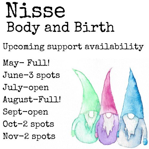 ‼️UPDATE‼️

August is now full for birth support and the fall is starting to fill up! We have some flexibility and openings for gender care, fertility support, childbirth education, and postpartum support so continue to reach out if needed! If your e