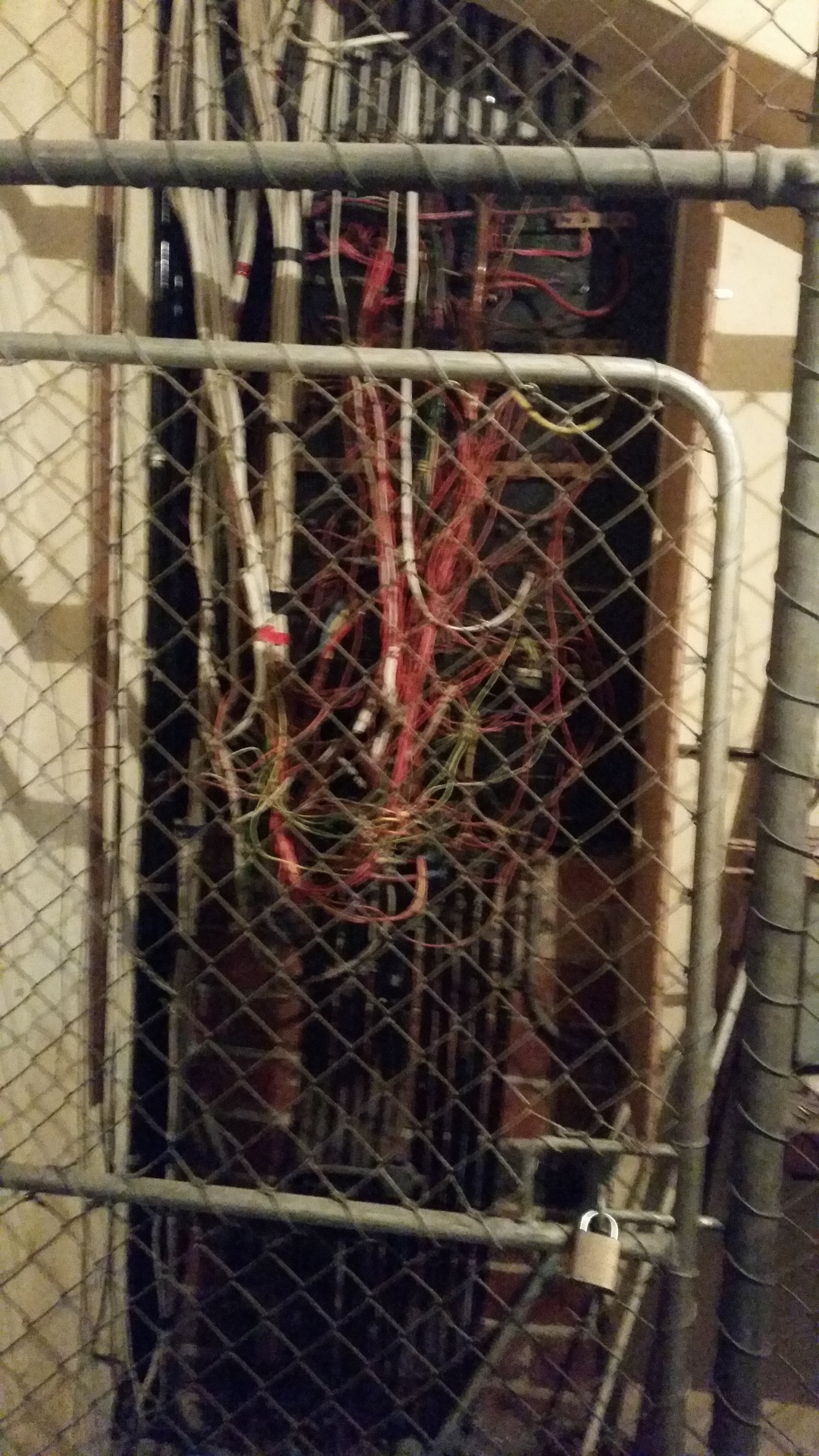 20160205_074622.jpg