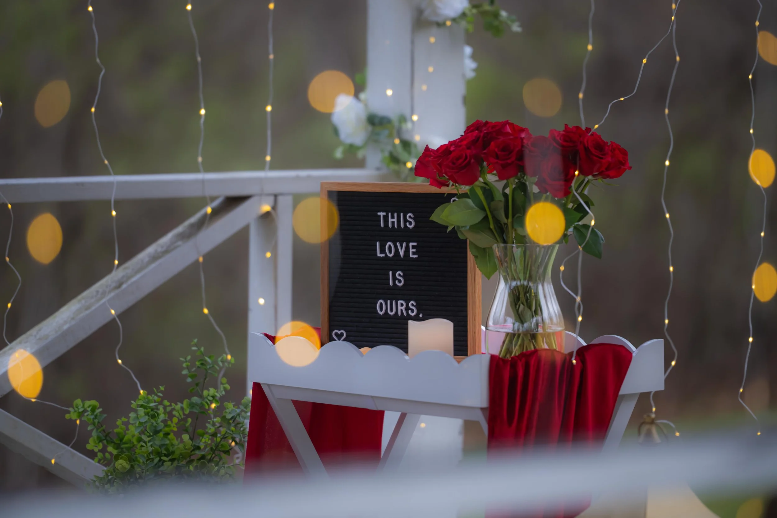 ZV_Proposal_Adriana&Reilly_-5.jpg