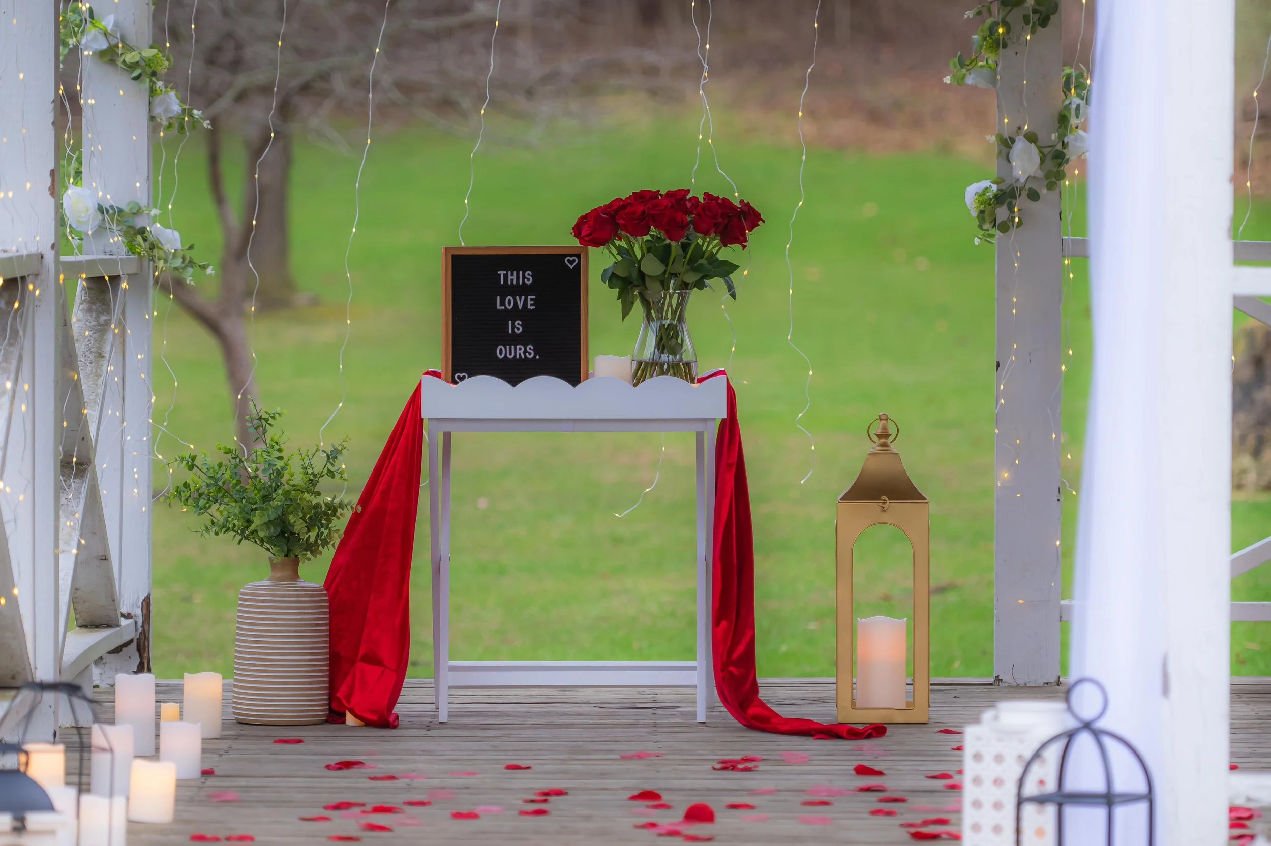 ZV_Proposal_Adriana&Reilly_-1.jpg