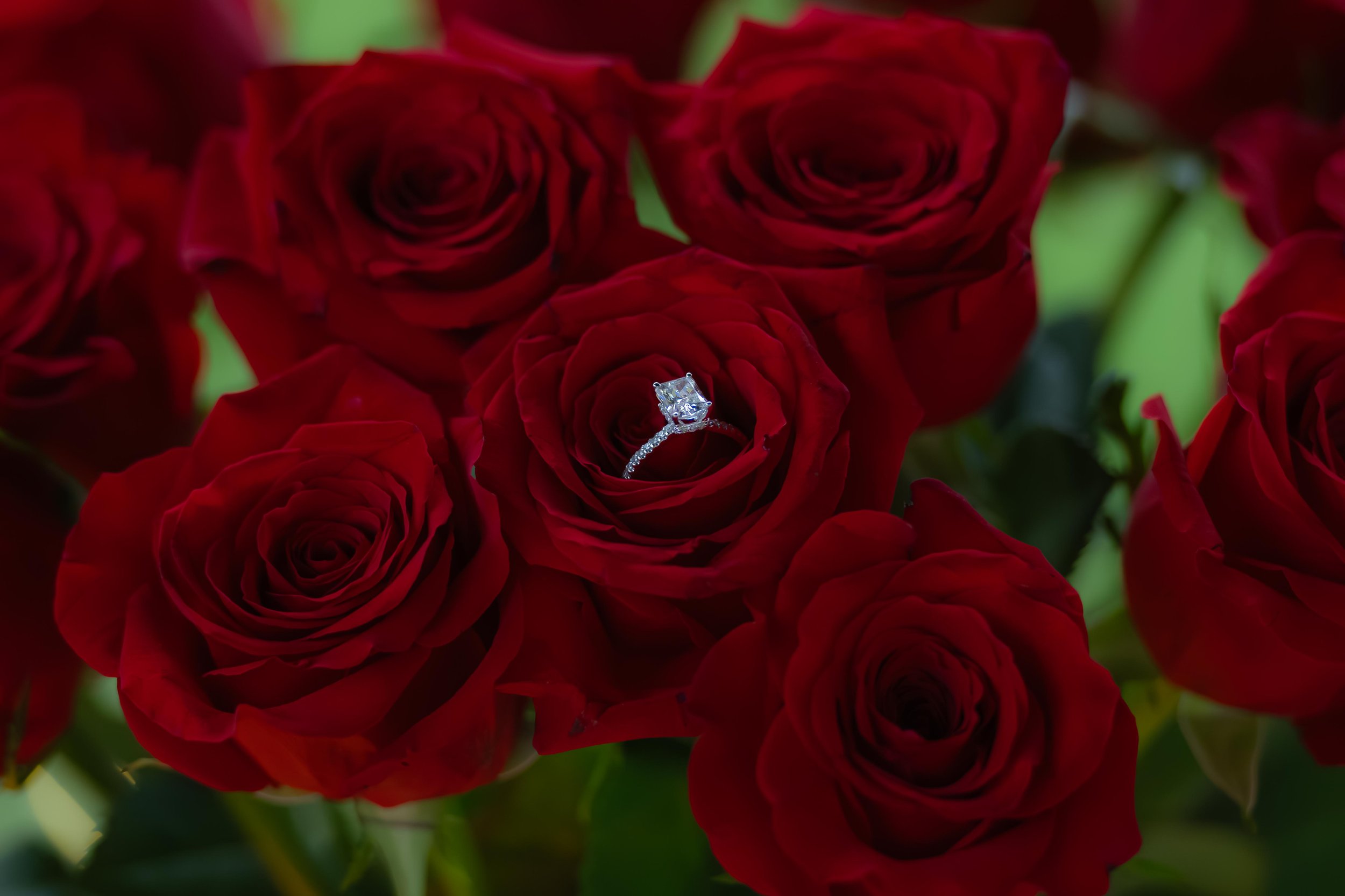 ZV_Proposal_Adriana&Reilly_-7.jpg