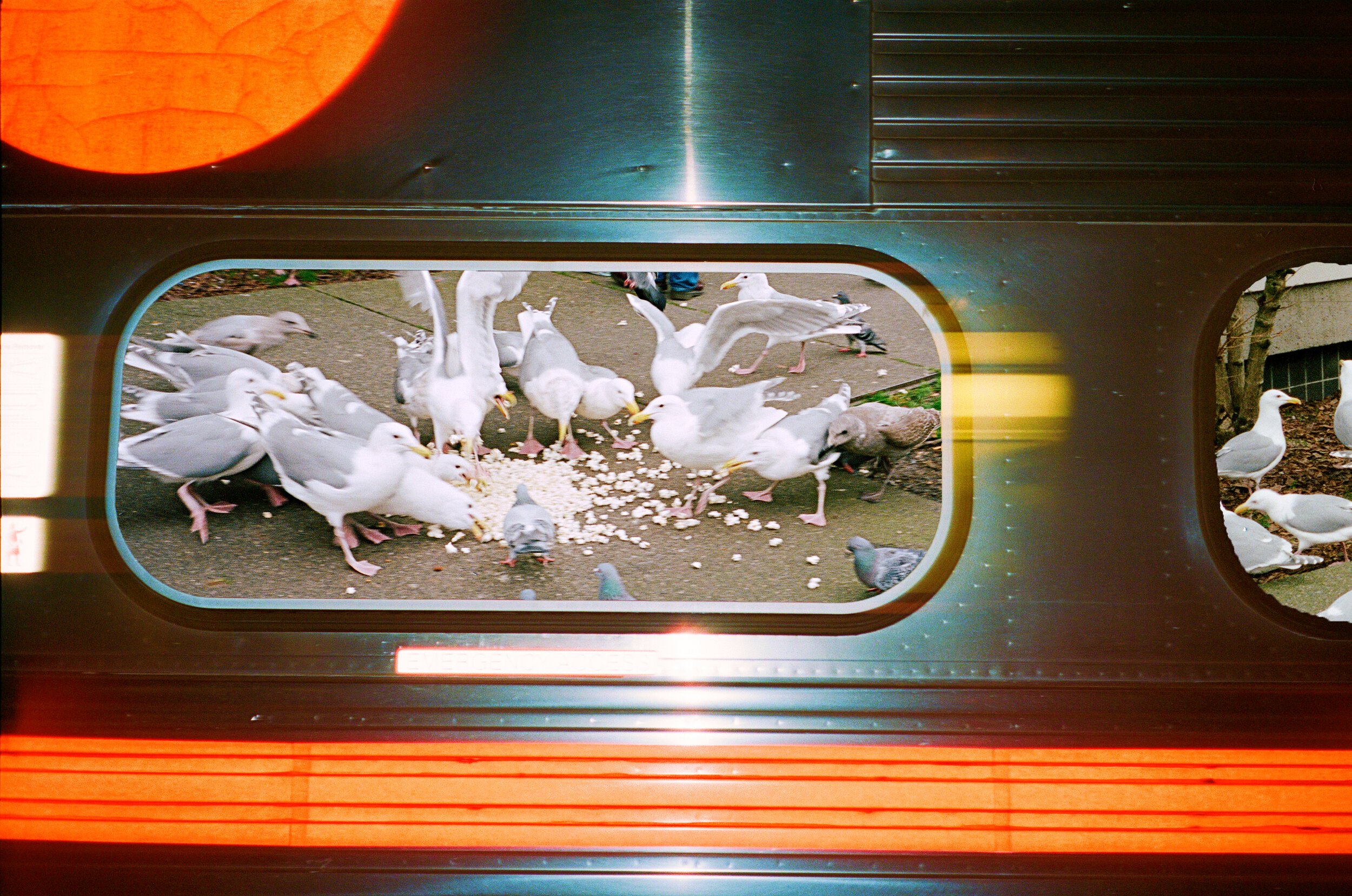 000017420032 copy.jpg