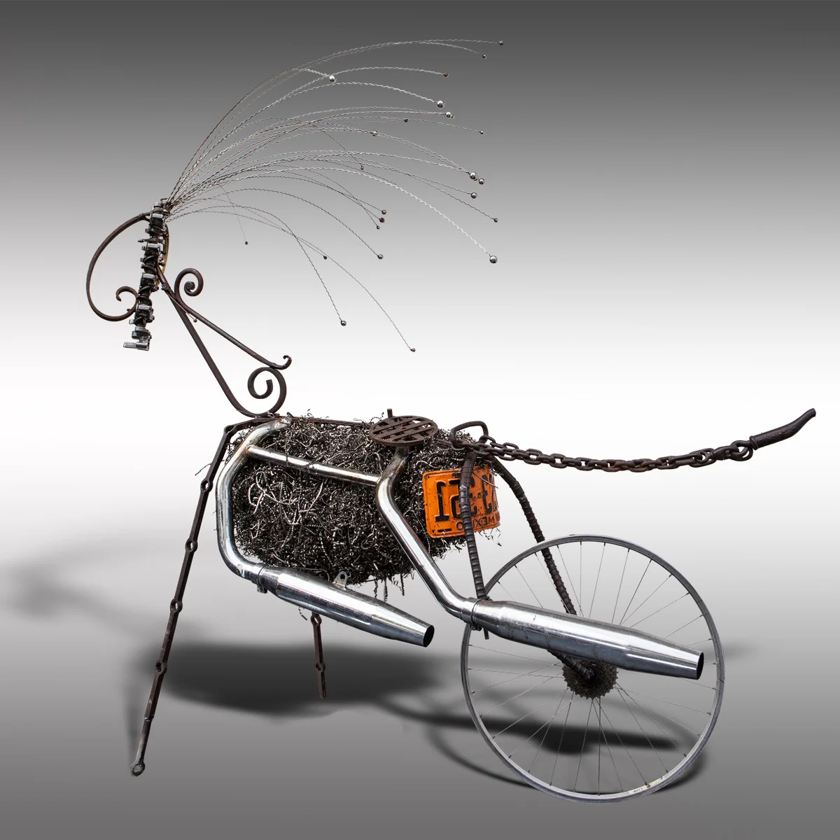 13-the queen's driver.jpg