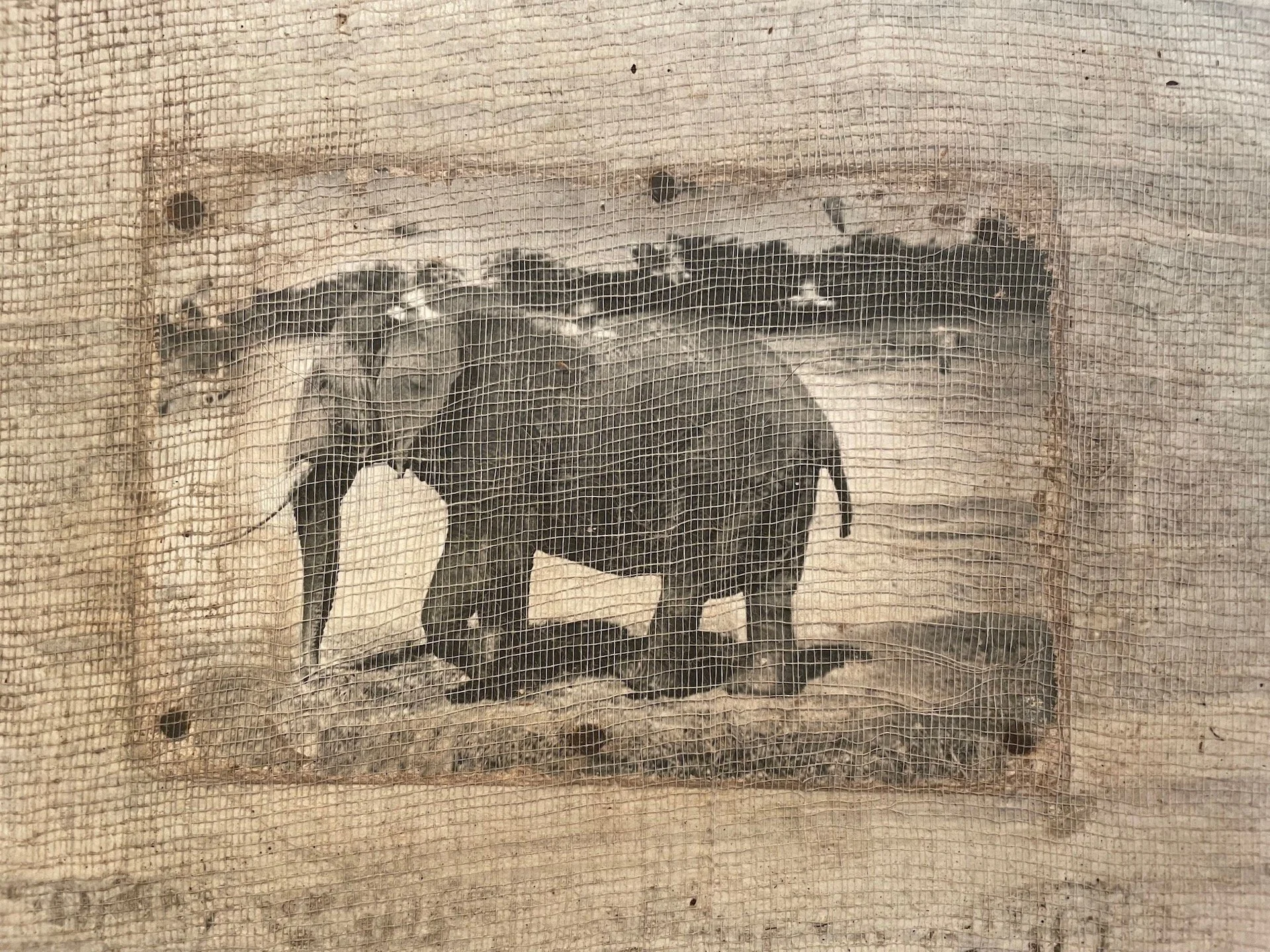 elephant 1 detail again.jpeg