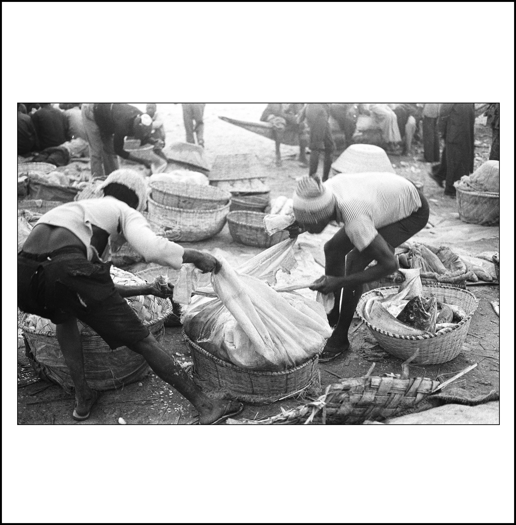 Michel Bocande-4-Packing Fish-18%22x28%22-$900.jpg