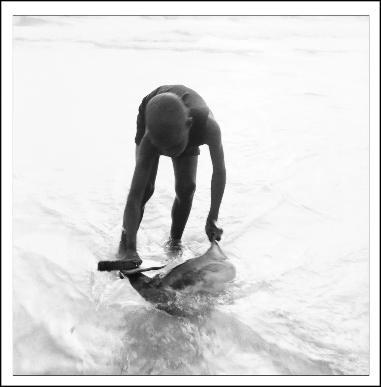 Michel+Bocandé-7-Dancing+with+Stingray-36%22x36%22-$2000.jpg-2.webp