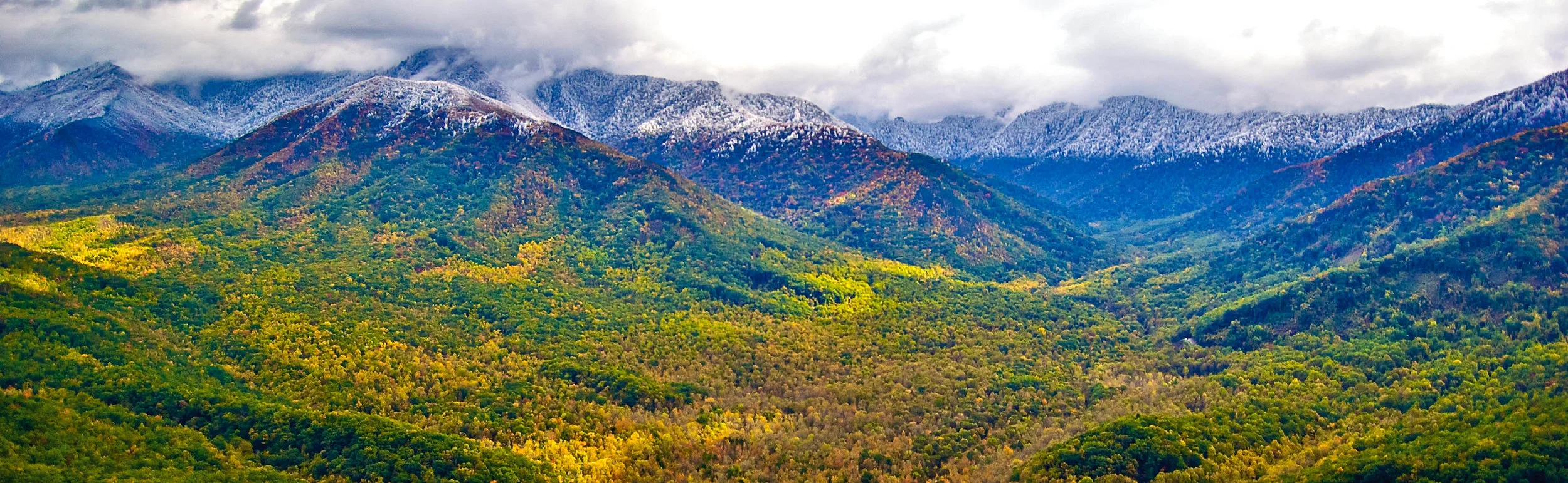 Smokies w snow.jpg