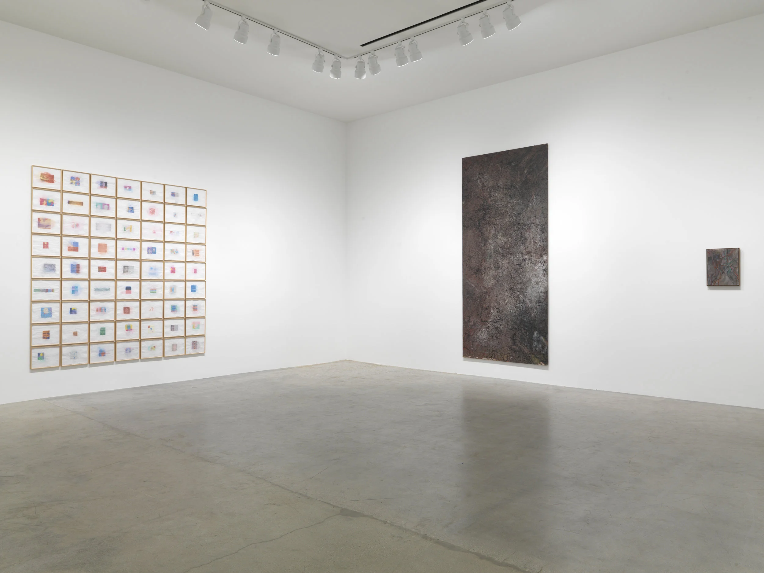 Guillermo Kuitca Hauser & Wirth