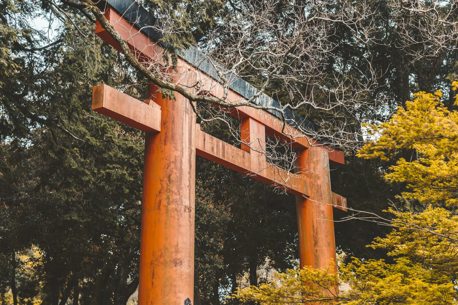 travel-10.jpg