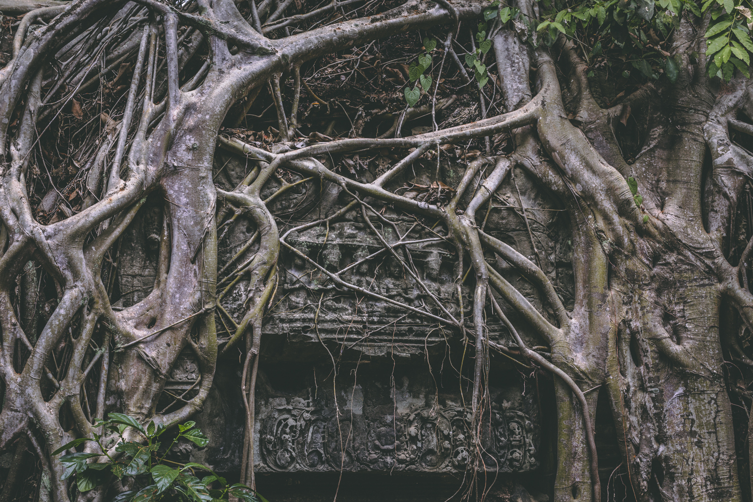   2014  Cambodia Ancient Ruins, Angkor Wat Canon 6D, 50mm 1.2L 