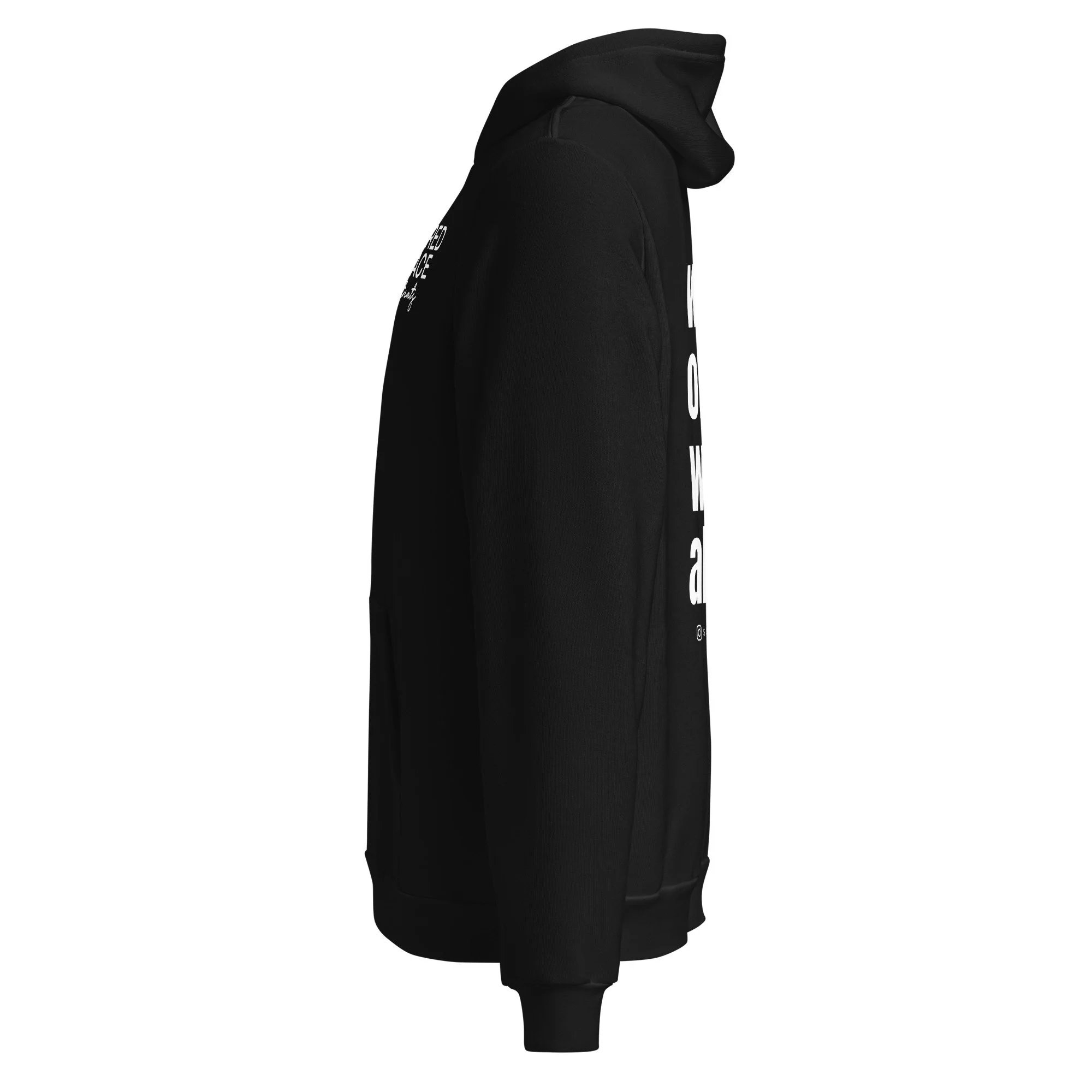 unisex-pullover-hoodie-black-left-6a53d71e8d348.jpg