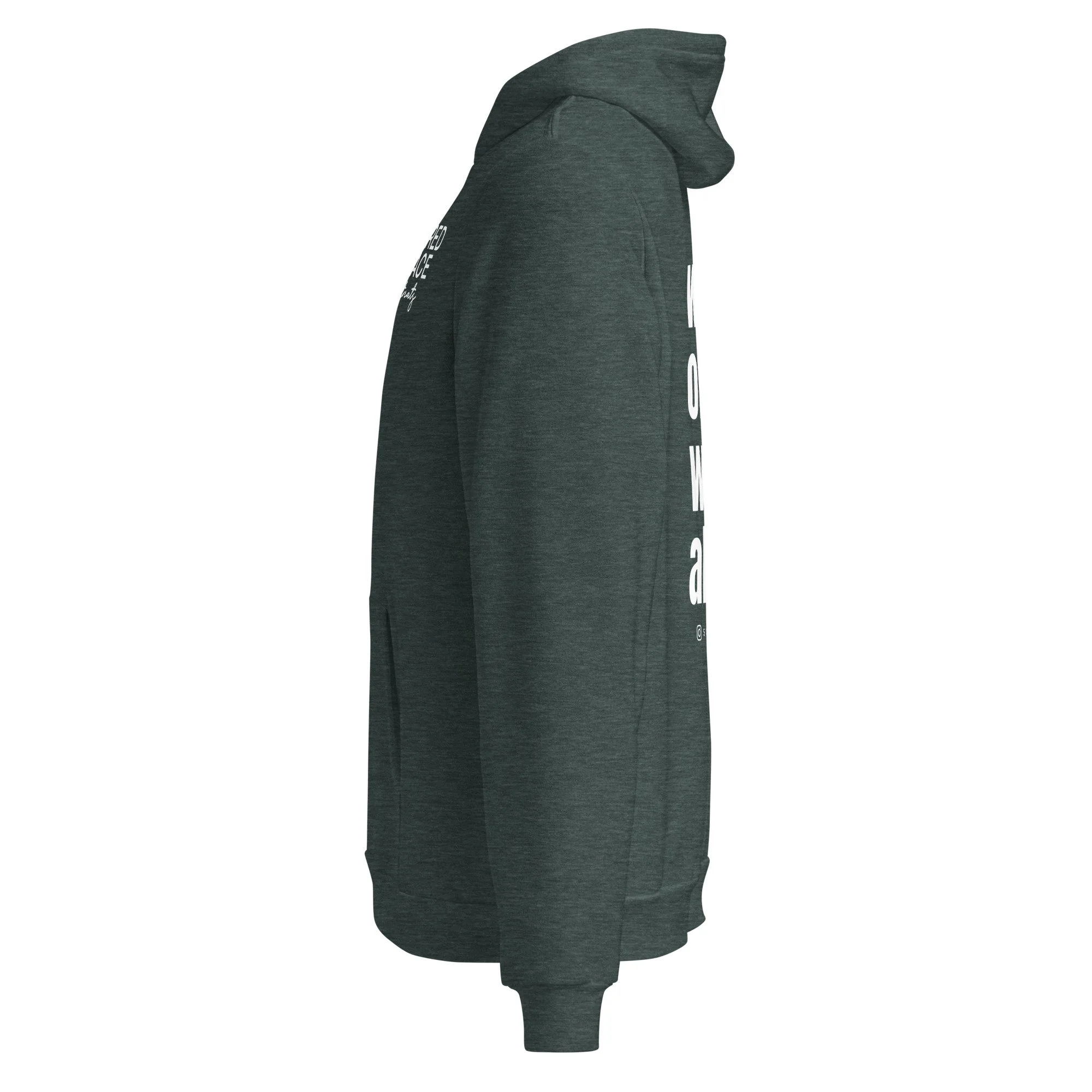 unisex-pullover-hoodie-heather-forest-left-6a53d71e8d3e9.jpg