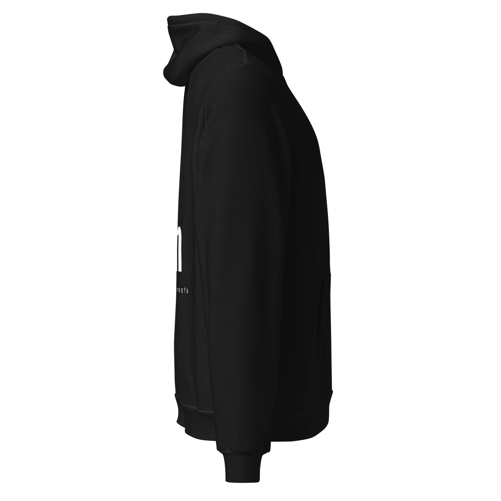 unisex-pullover-hoodie-black-right-6a53e14f6e565.jpg