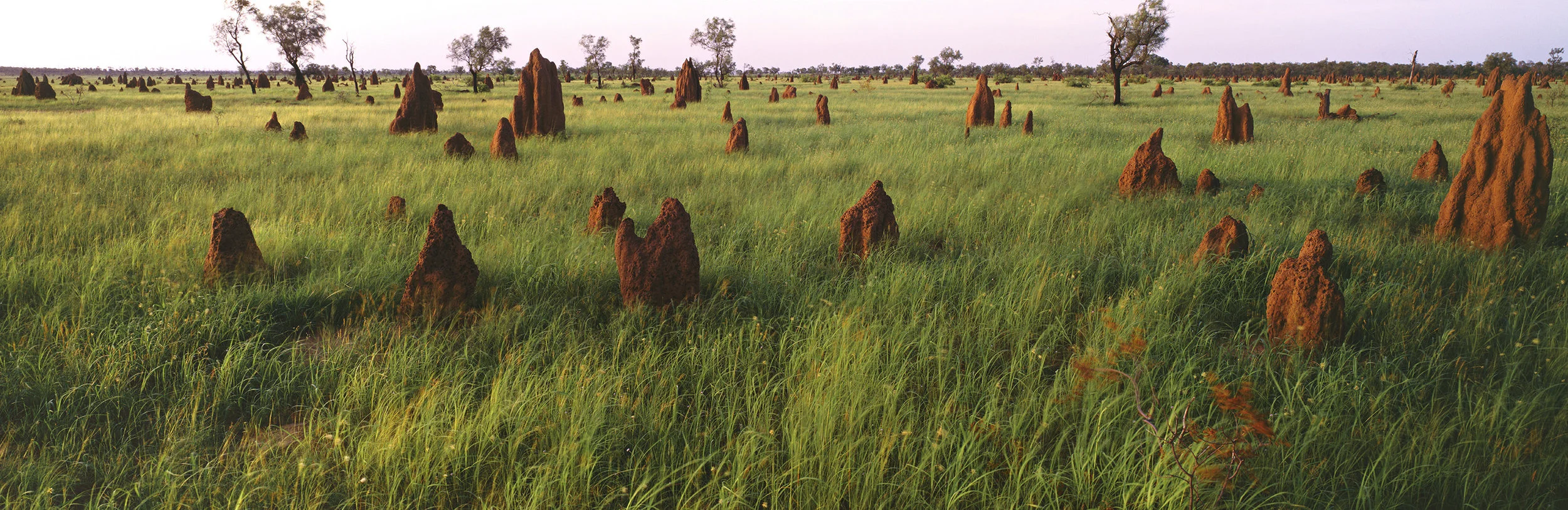Kimberly in the wet copy.jpg