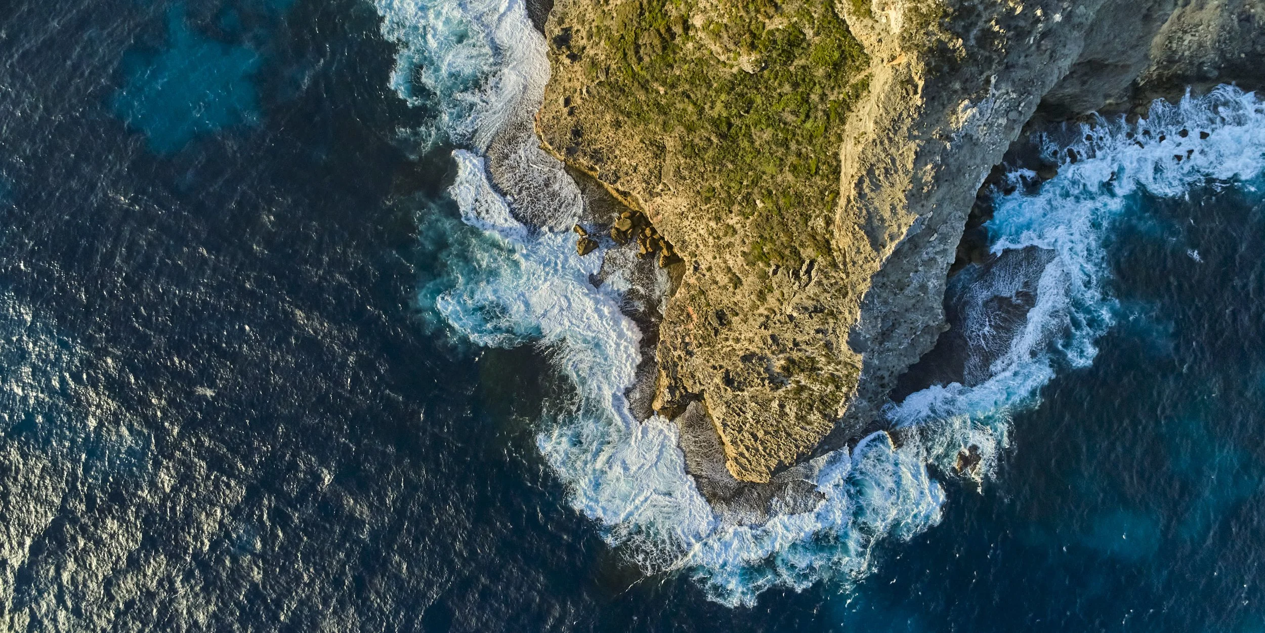 15_20201104_ASW_Albany_Sharp Point.jpg