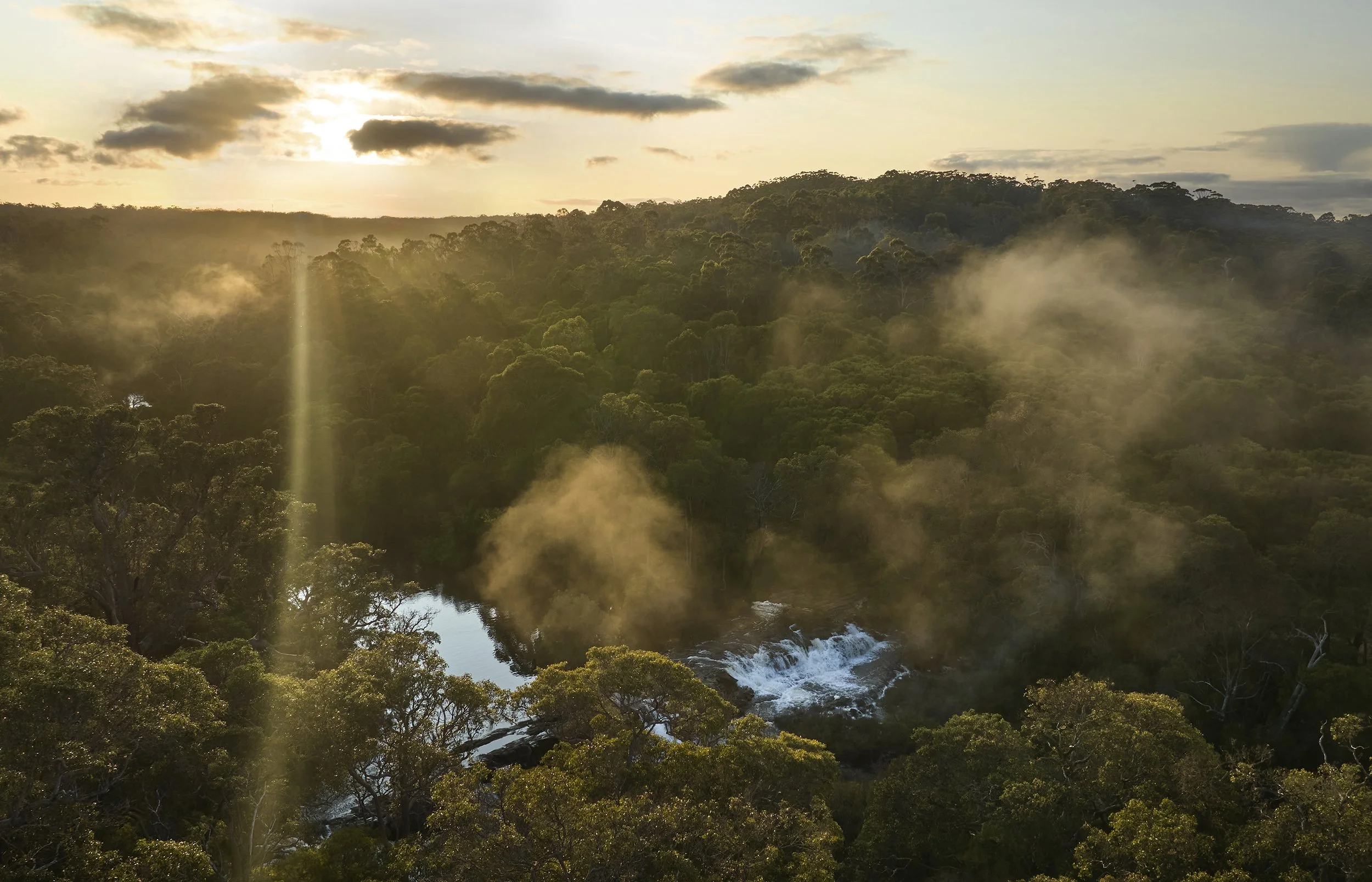 134_20240910_PARKS AND WILDLIFE_Waterways and Wildflowers Margaret River Region copy.jpg