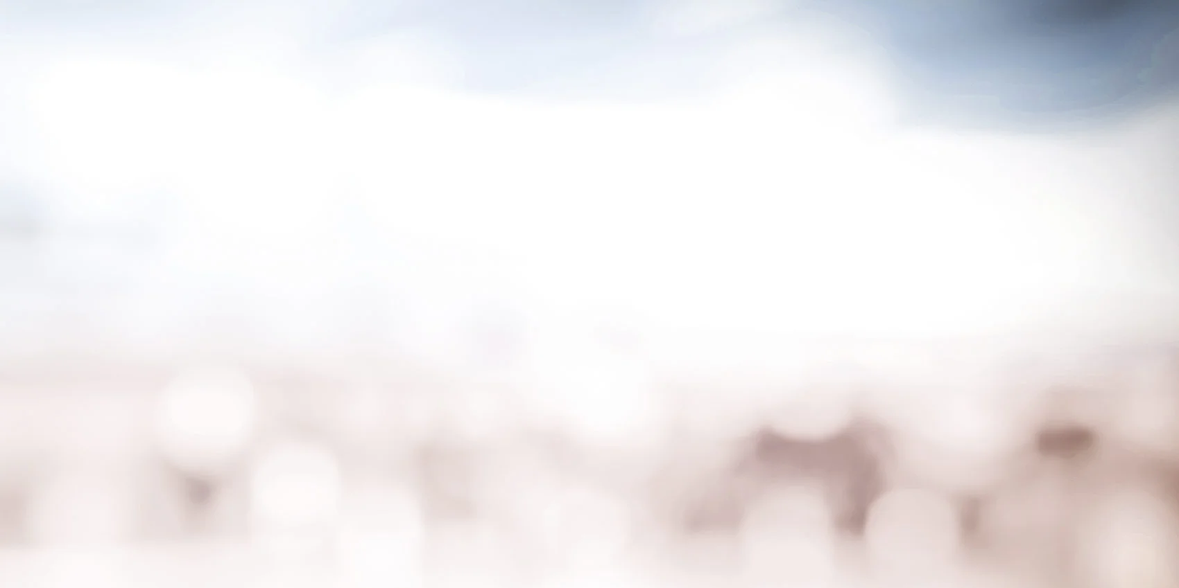 header_backgorund.jpg