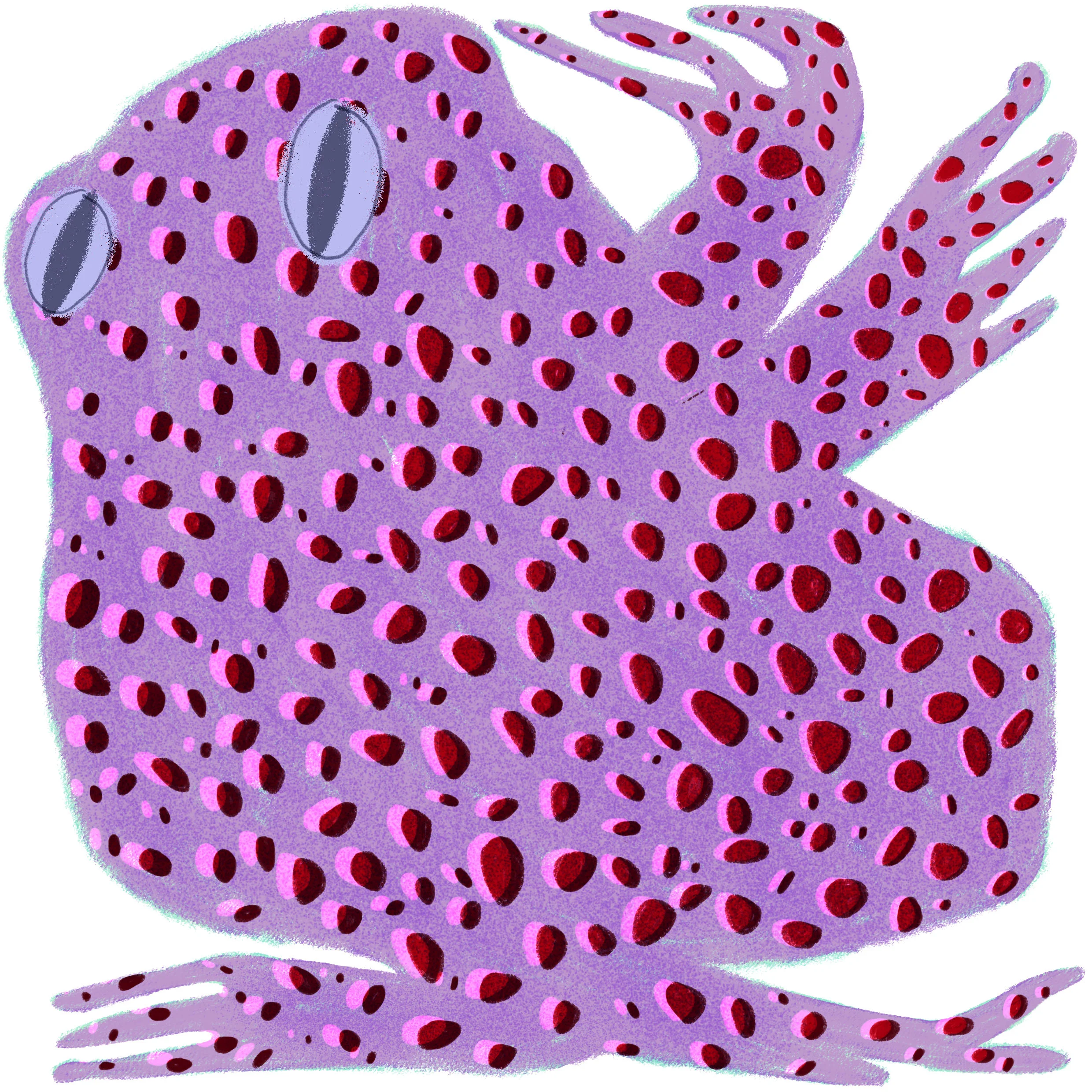 frog.jpg