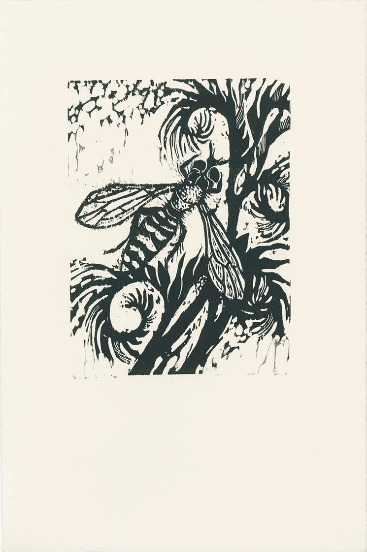 marmalade hoverfly.jpg