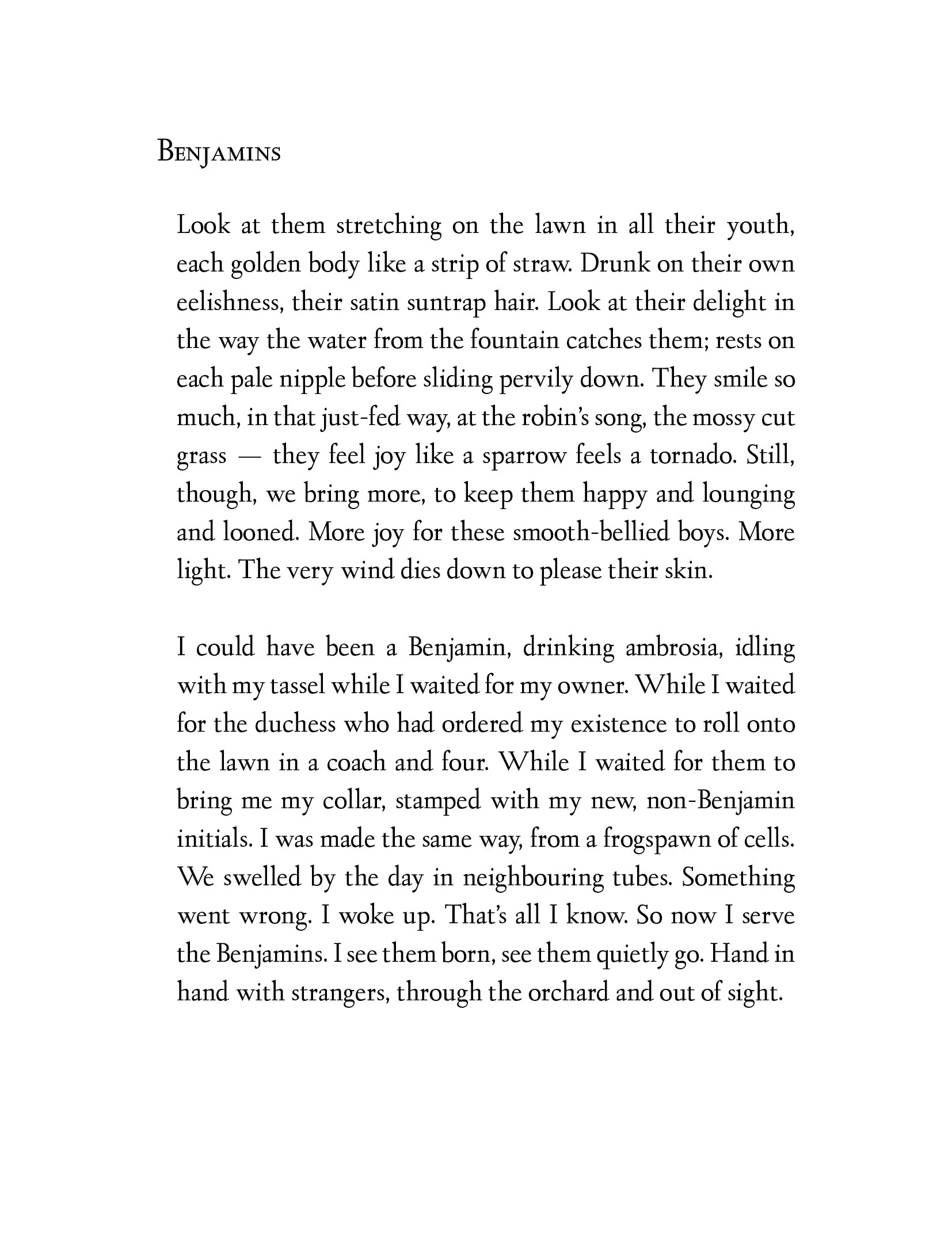 Hot Cockalorum97.jpg