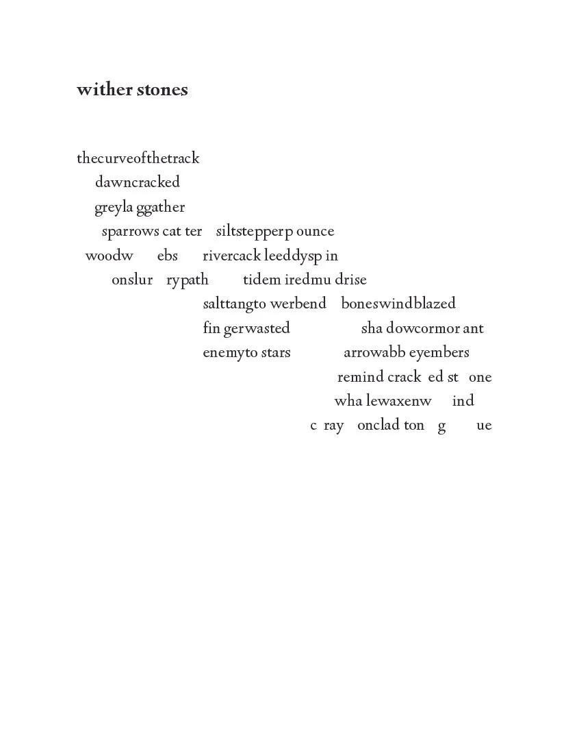 Unstill Landscapes Web s.jpg