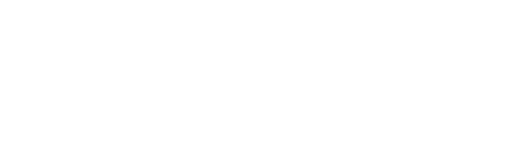 Orangutan Foundation