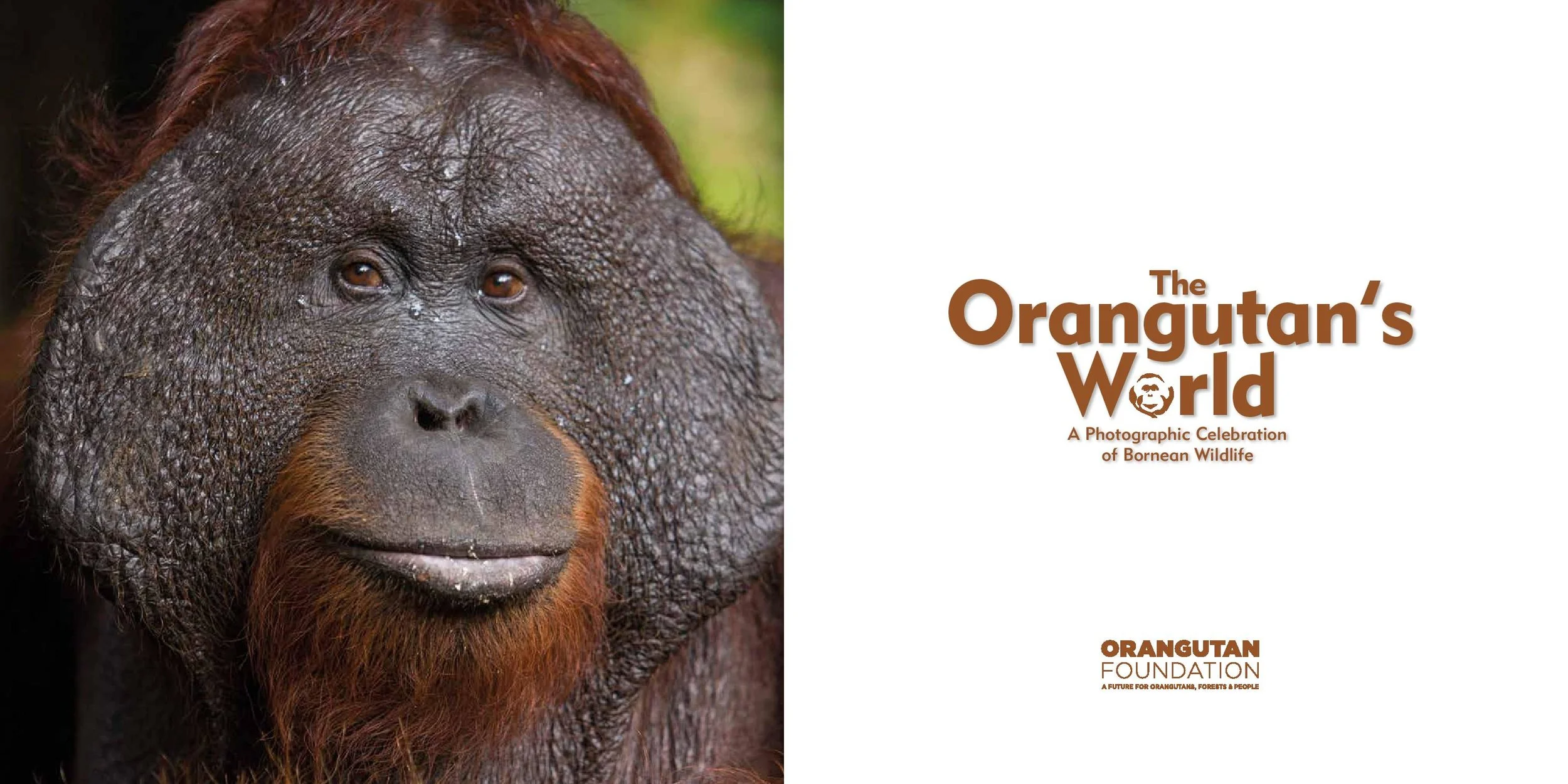 The Orangutan's World: A Photographic Celebration of Bornean Wildlife