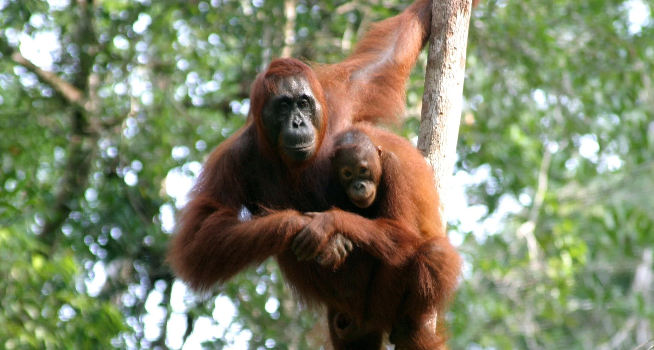 30 years and counting