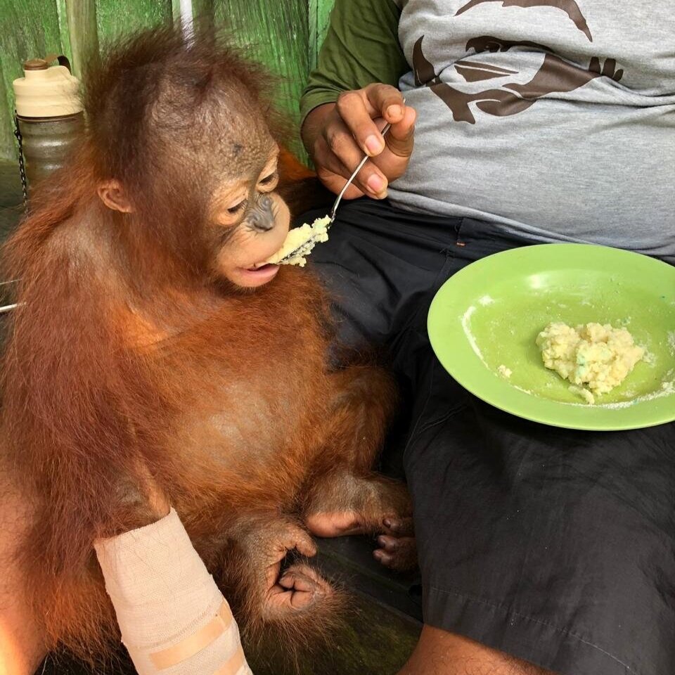 Adib+broken+arm+being+fed+banana+porridge.jpg