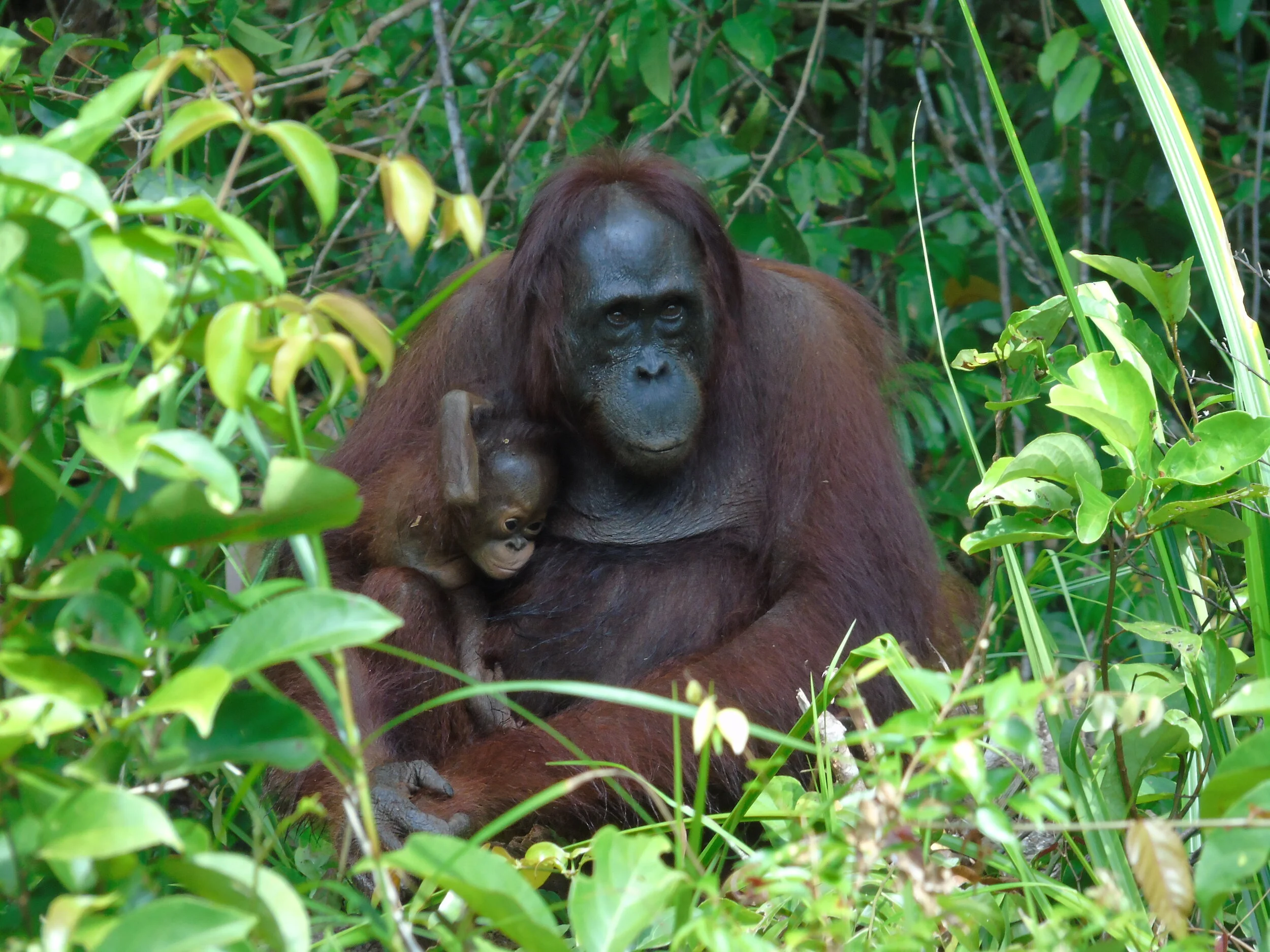 Even 2020 can be an Inspiration