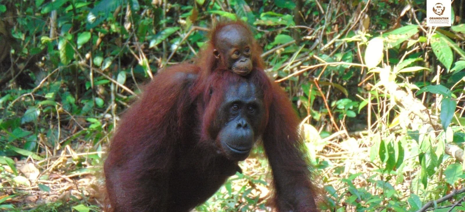 2021 - A year to remember