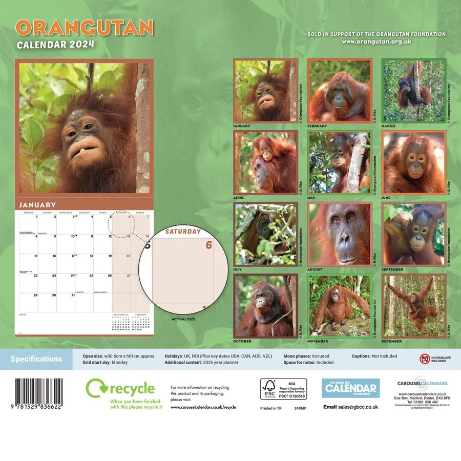 Orangutan Foundation 2024 Calendar — Orangutan Foundation