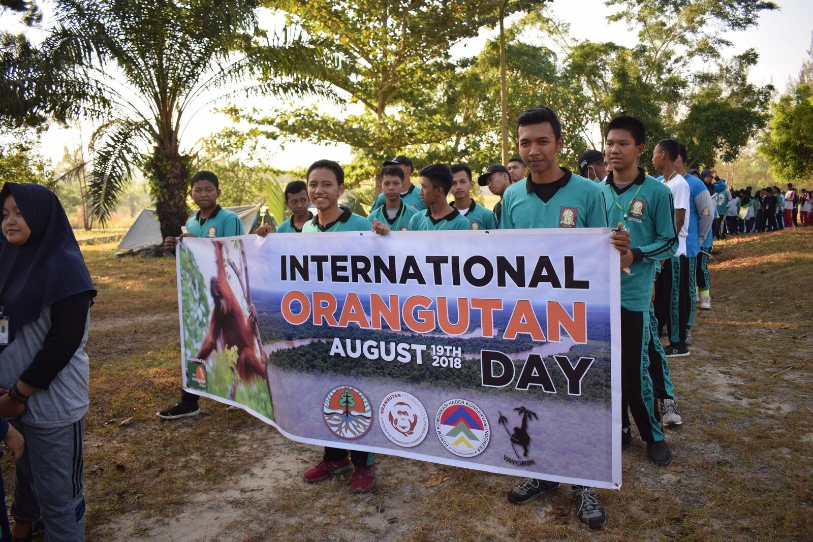 Int Orangutan Day-medium.jpg