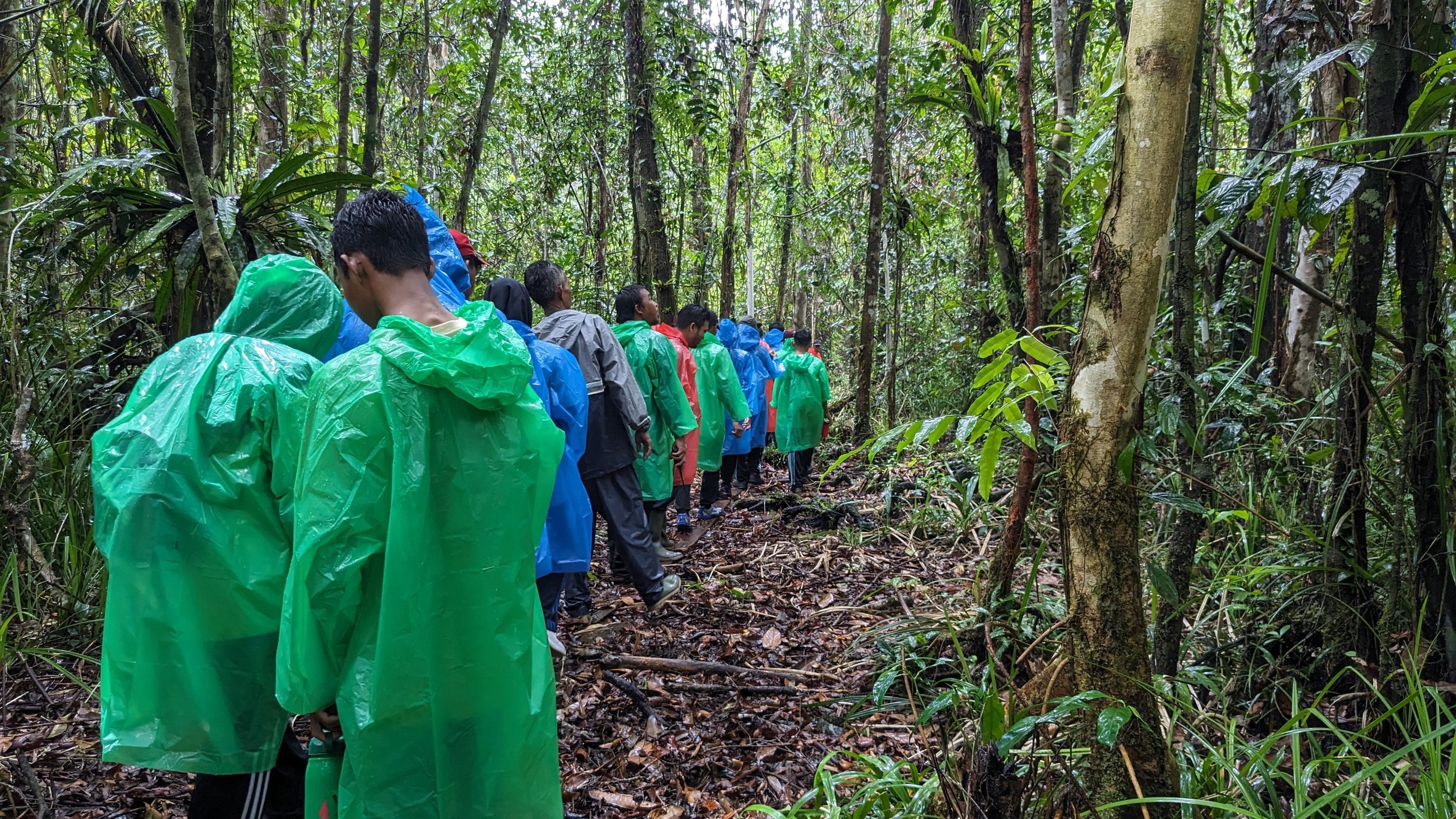 Jungle trekking from Camp Siswoyo to Camp Gemini for Senior High School Students.jpg