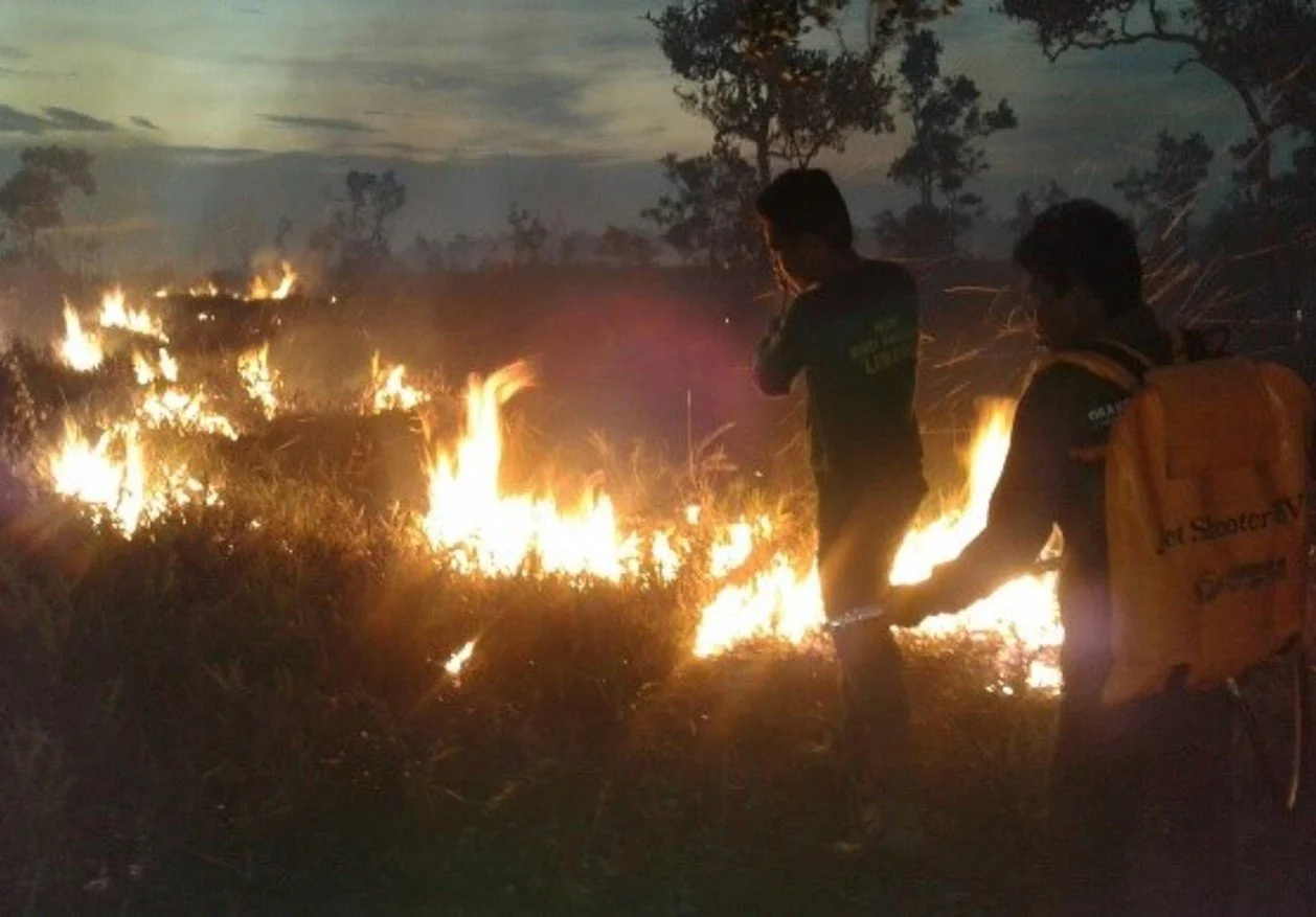 Fire 2.jpg