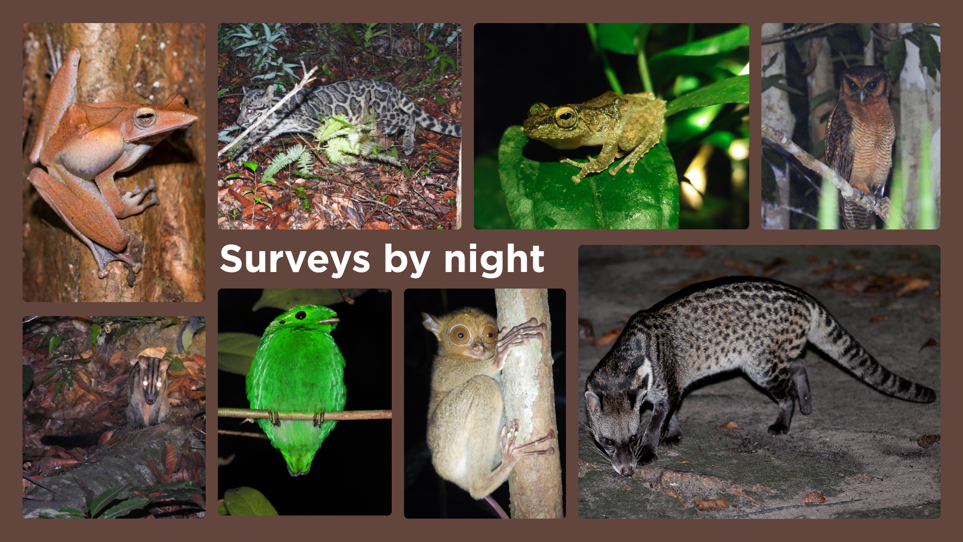 website slides 2 (4).png