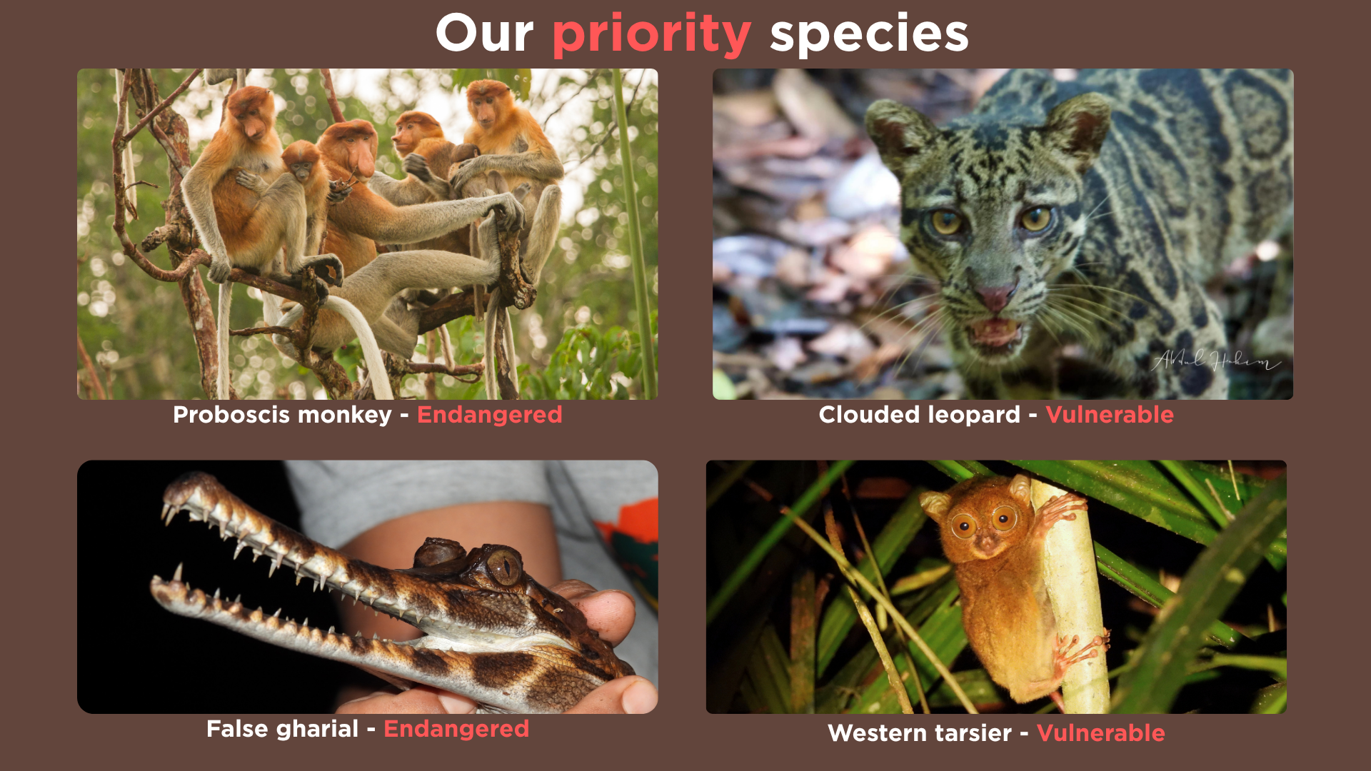 website slides 2.png