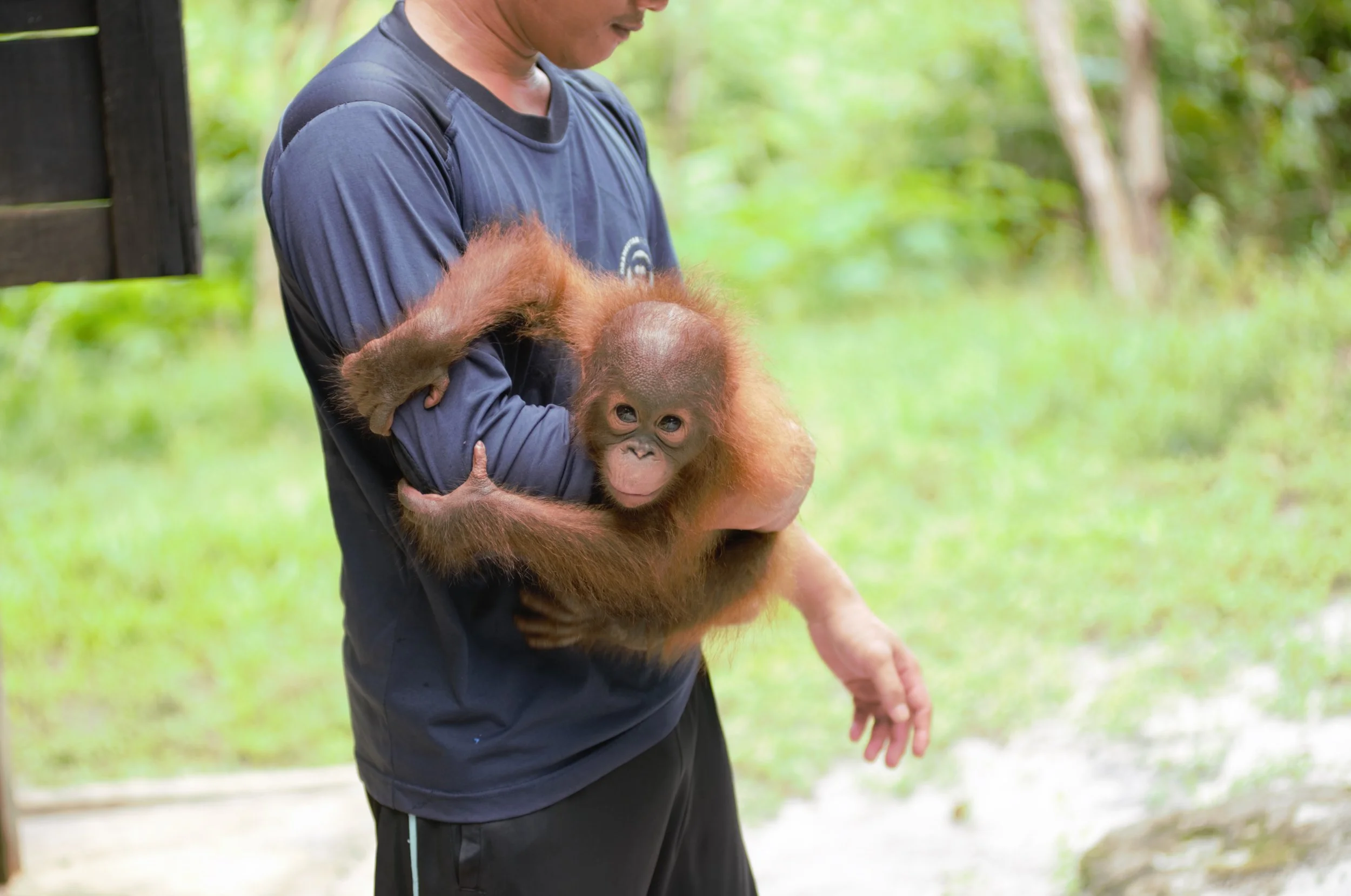 Riki DSC_6305 (1).jpg