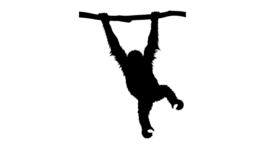 Logo+No+Background+%287%29.png