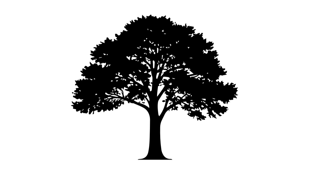 Logo+No+Background+%286%29.png
