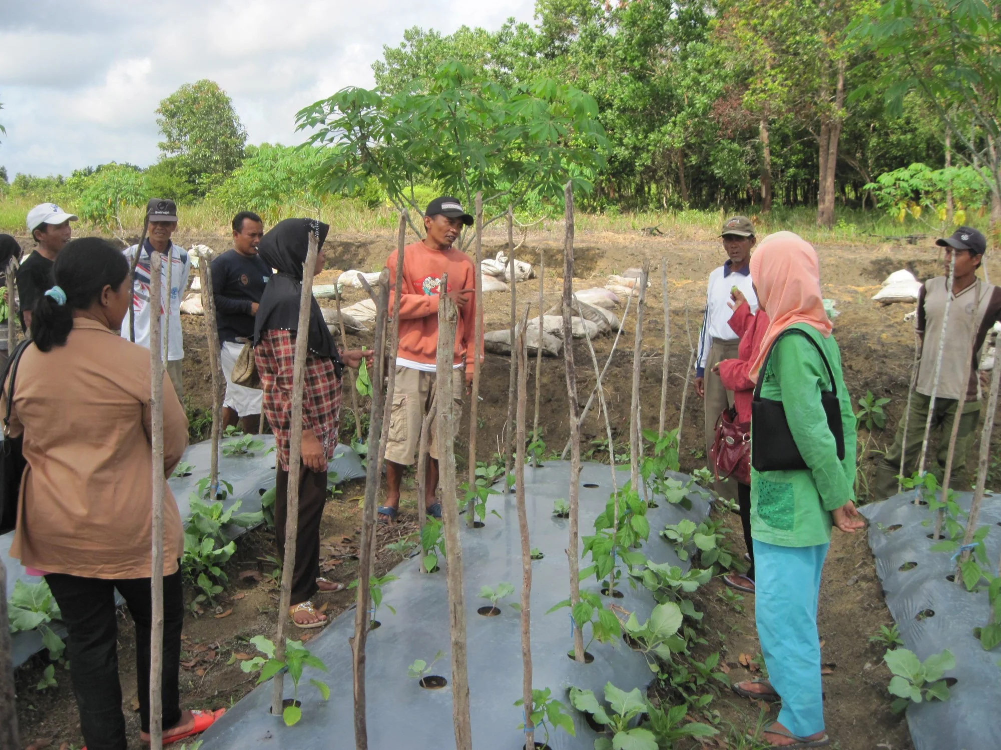 tour study farmer group from karang anyar-mendawai village.JPG