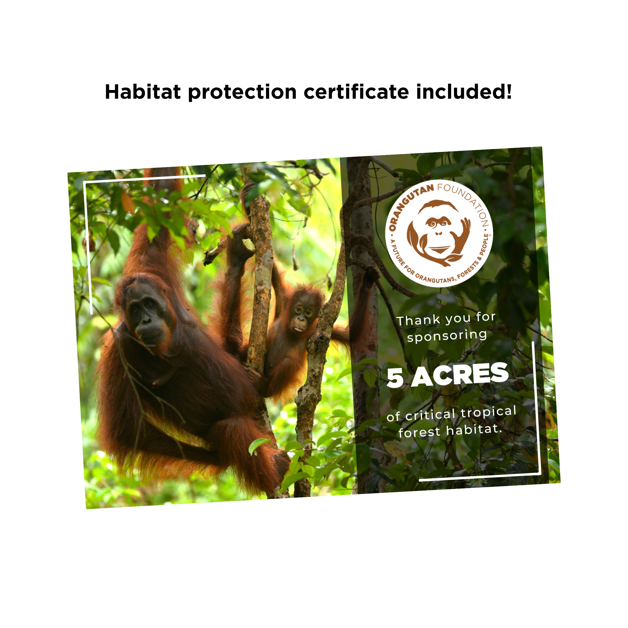 Habitat protection certificate included!.png