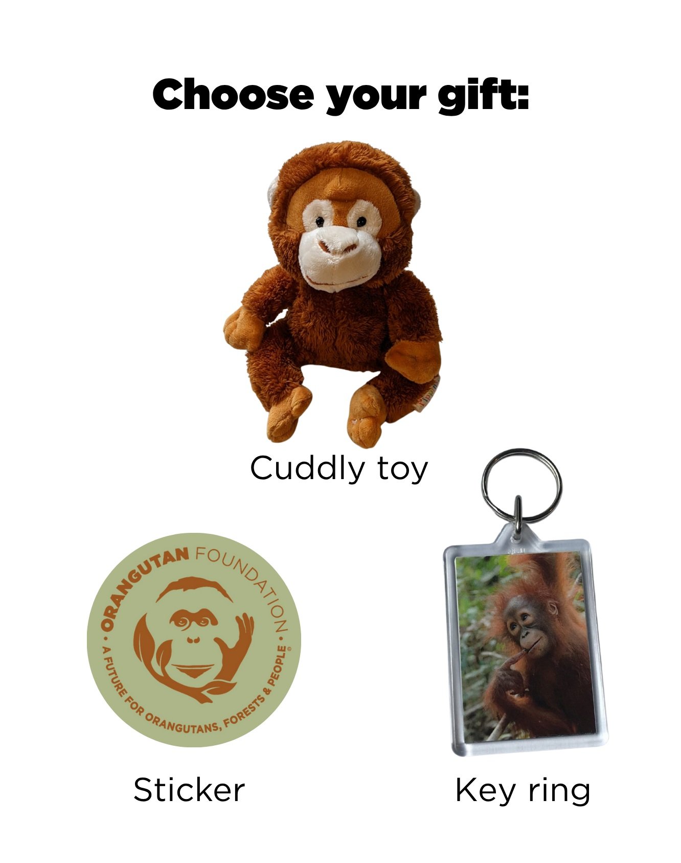 Adoption+pack.jpg