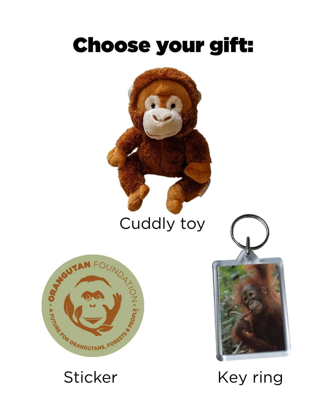Adoption+pack.jpg