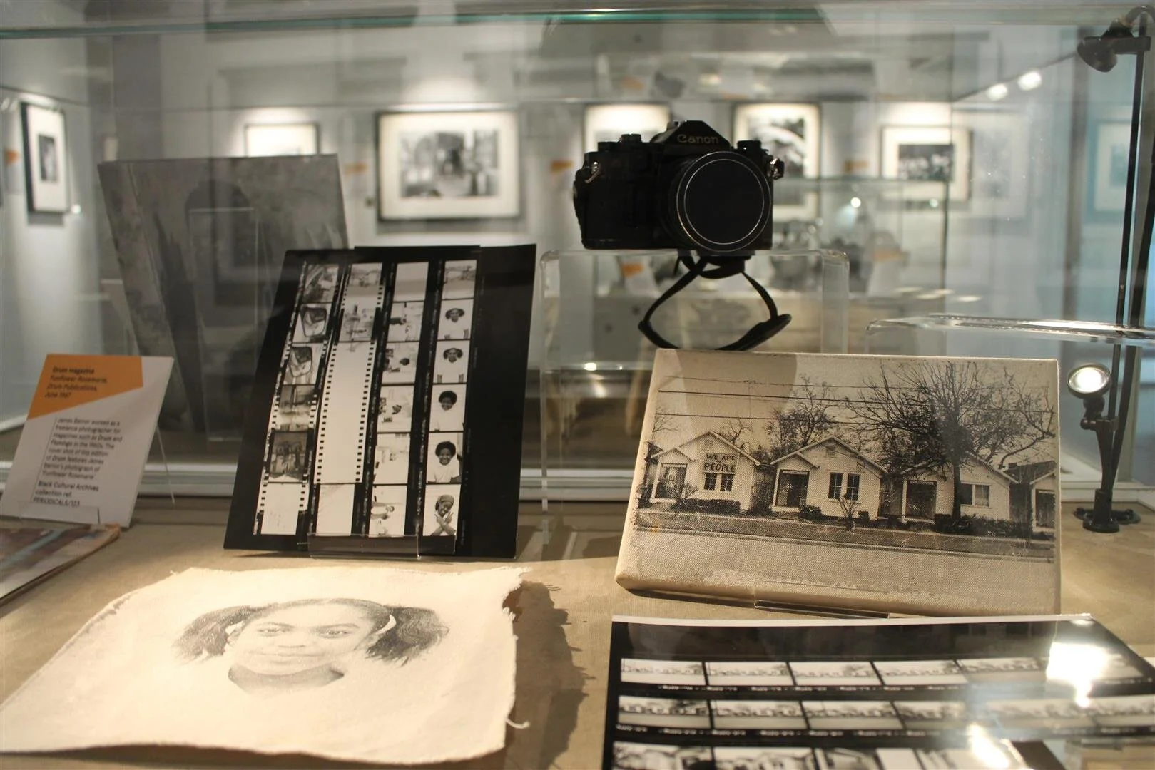 IMG_6647 (Large).JPG