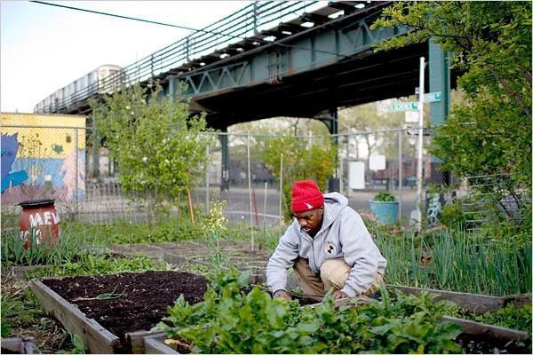 Keep Growing Detroit