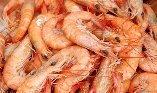 boiled shrimp.jpg