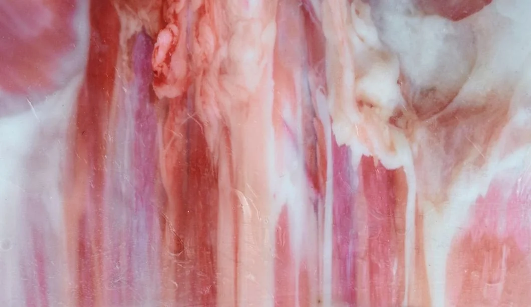 Preview della mostra: Shahryar Nashat. Streams of Spleen / Sede MASI | LAC