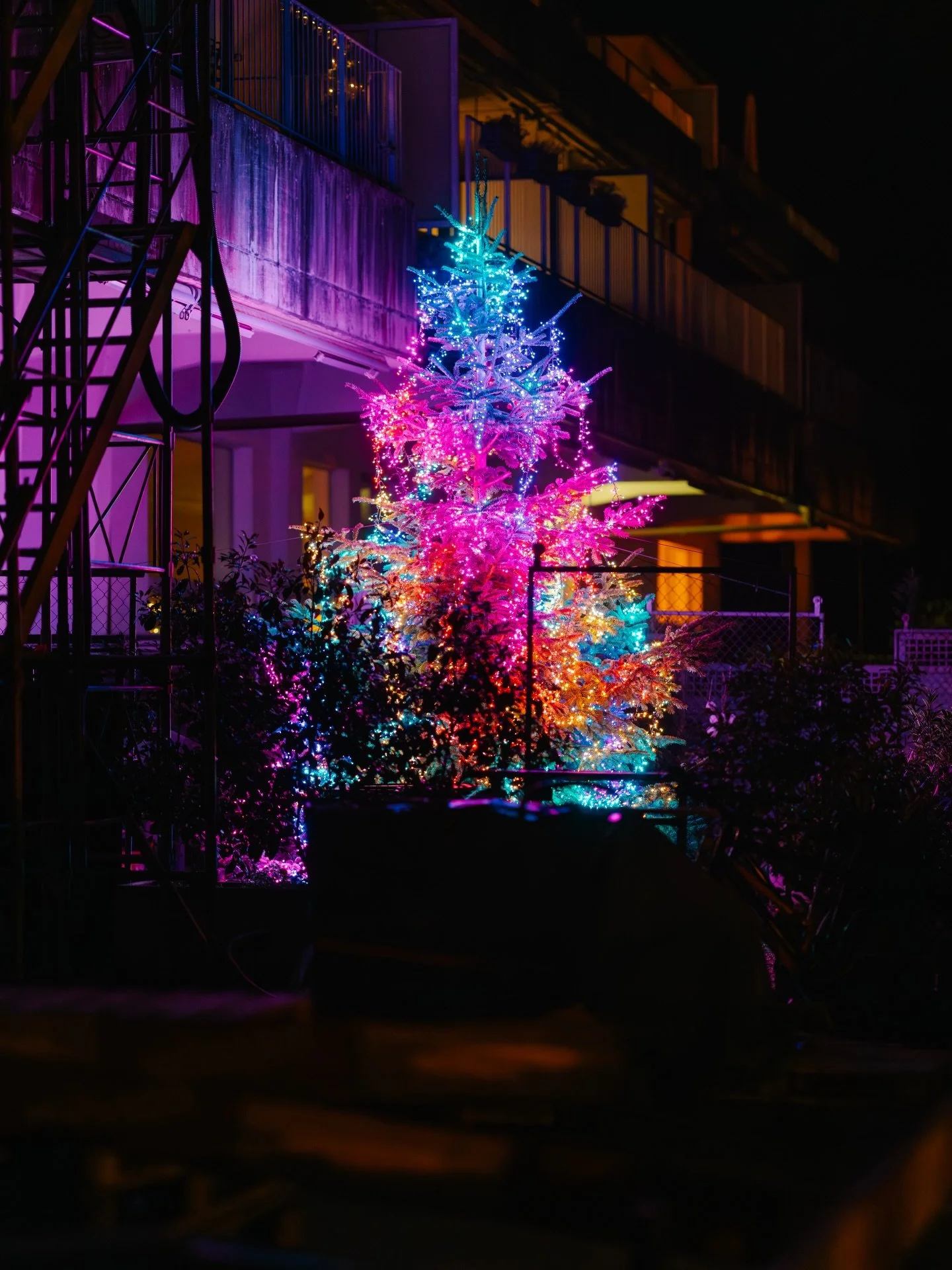 I denke am diesj&auml;hrige Baum isch &auml; Post im Feed gschuldet 🎄🥳 6800 LED @twinkly (17x Cluster400) @deinweihnachtsbaum.ch 🎄🫶🏻 #xmastree #weihnachtsbaum